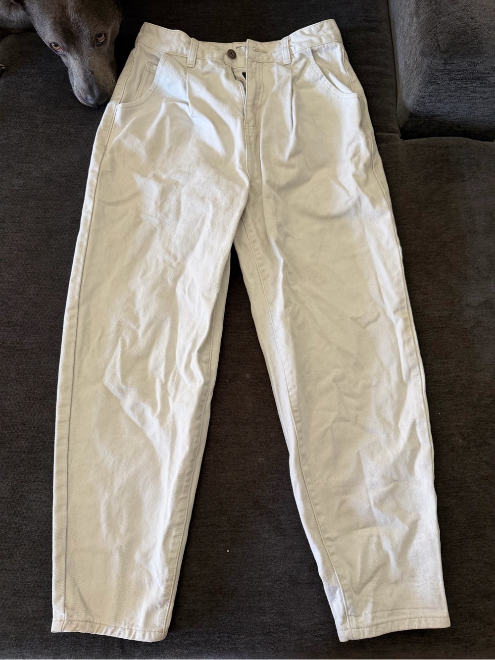 Women's painter Pants in Off-White